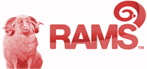 Kangaroo Couriers Clients Rams A